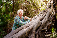 Robyn Hitchcock